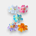 Beach Clip Accessories for Women