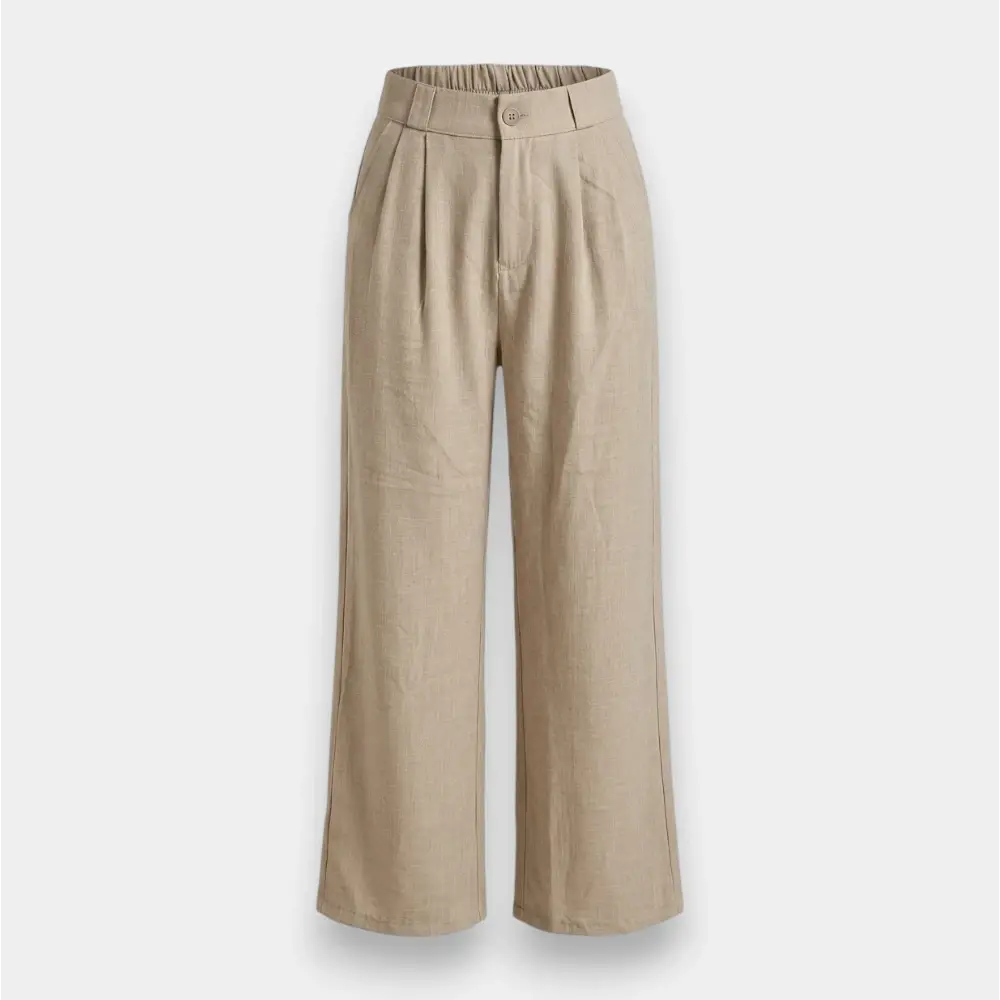 Women's Formal L.N Office Wear Pants
