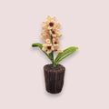 Handmade Flower Bouquet