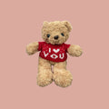 Teddy Bear Doll Qatar | Soft Plush Toy Gift