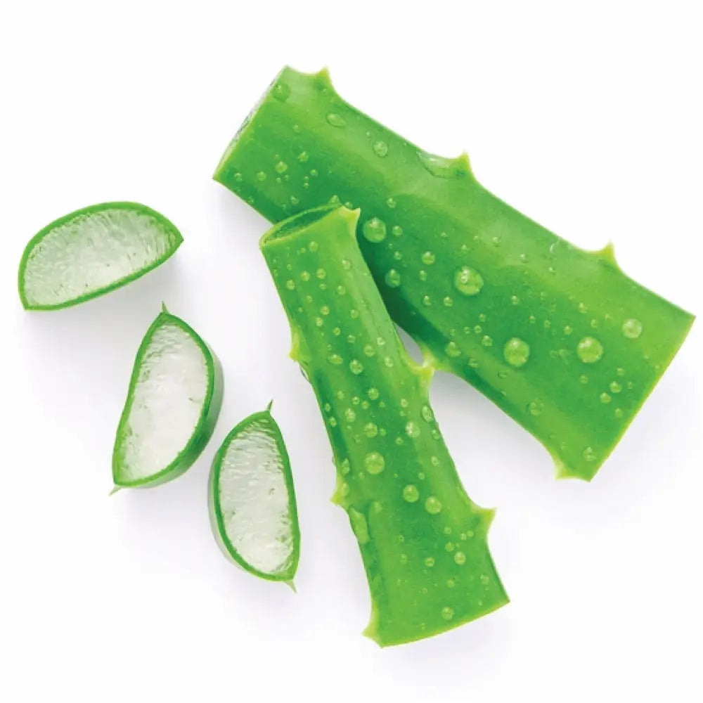 Beauty Clinic Face & Body Scrub 500ml – Aloe Vera